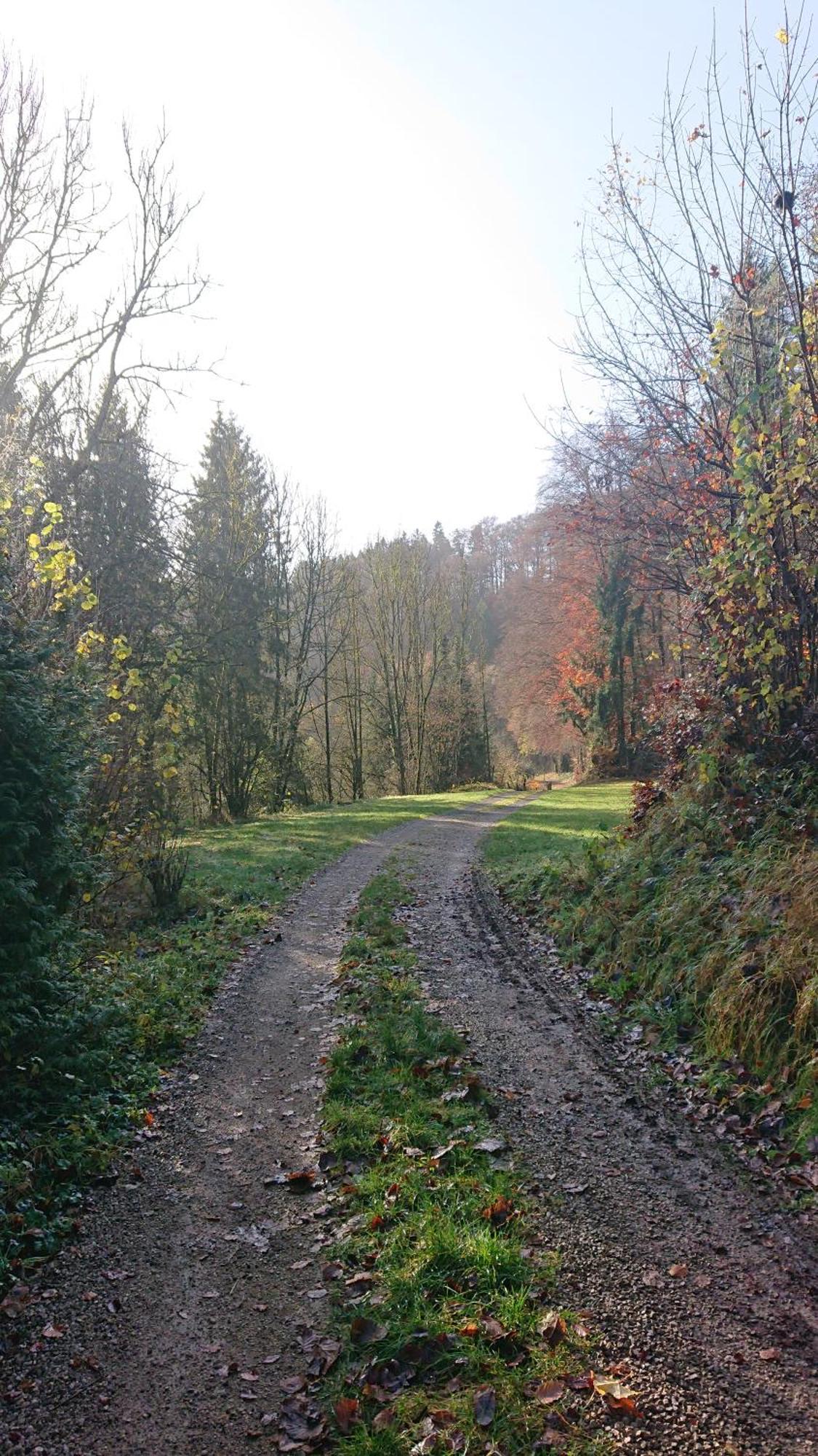Ferienwohnung Haus Schoeneck Schönecken Esterno foto
